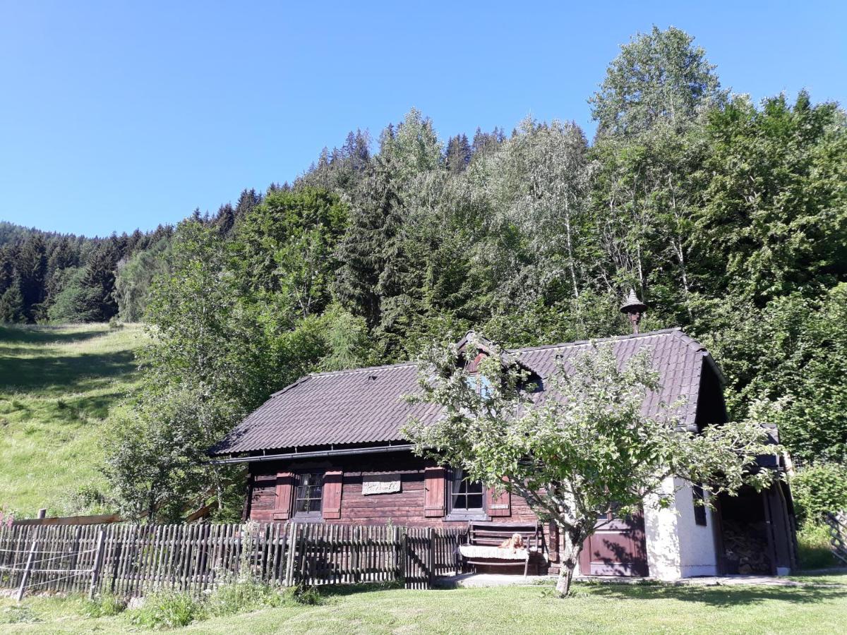 Umundumhuette Villa Katsch an der Mur Exterior photo